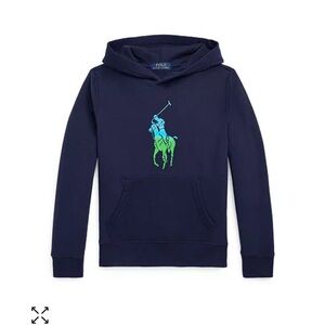 Polo by Ralph Lauren Blue and Green Sweatshirt